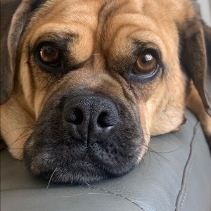 Meet your Posher, Micenah